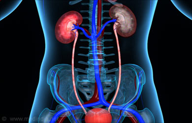 Cysts and Tumours - Multi cystic Dysplastic Kidneys, Wilms, Testicular