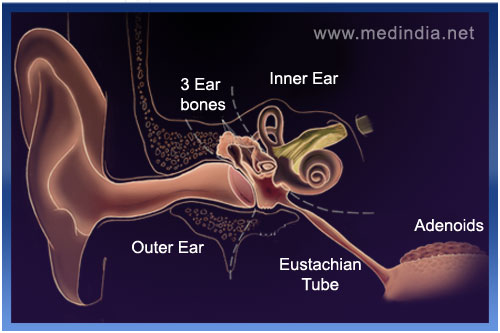 Menieres Disease Symptoms And Signs Causes Diagnosis Treatment Faqs 3077