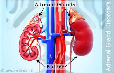 adrenal gland issues